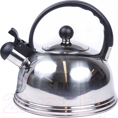 Чайник со свистком Home Line GS-04063