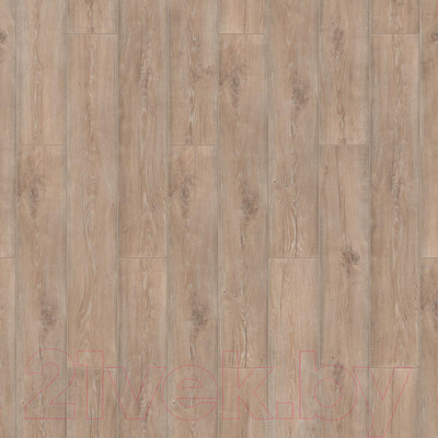 Ламинат Tarkett Поэм 1033 Гете