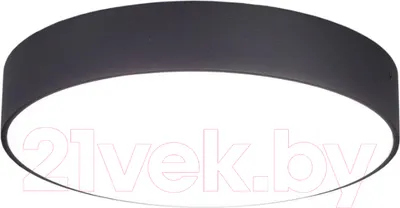 Потолочный светильник Citilux Тао CL712242N