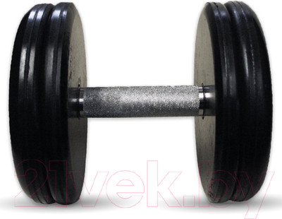 Гантель MB Barbell Классик 22кг (хром)