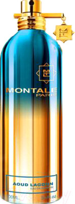 Парфюмерная вода Montale Aoud Lagoon (100мл)