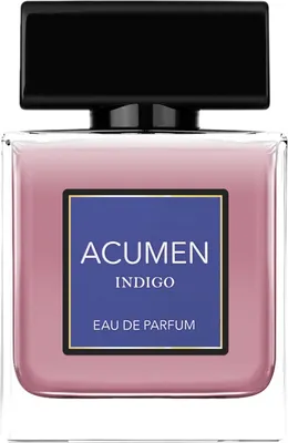 Парфюмерная вода Dilis Acumen Indigo for Men (100мл)