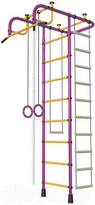 Детский спортивный комплекс Пионер АМ (пурпурный/желтый)
