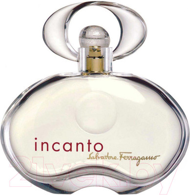 Парфюмерная вода Salvatore Ferragamo Incanto (100мл)