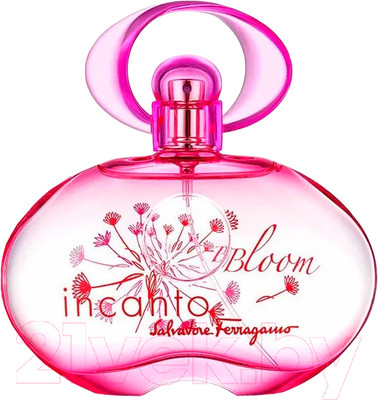 Туалетная вода Salvatore Ferragamo Incanto Bloom (30мл)