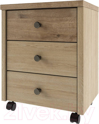 Тумба Anrex Diesel 3S/D1 (дуб мадура/веллингтон)