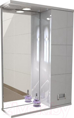 Шкаф с зеркалом для ванной Emmy Монтана 50