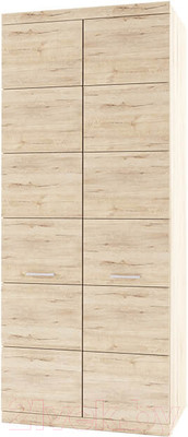 Шкаф Anrex Oskar 2DG (дуб санремо)