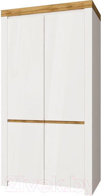 Шкаф Anrex Taurus 2DG (белый глянец/дуб вотан)