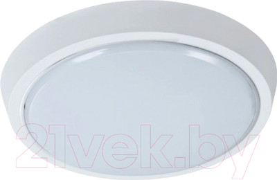 Светильник ЖКХ Leek LE LED BK RL 15W 6500K QS / LE 061200-159