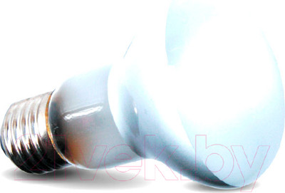 Лампа для террариума Repti-Zoo BeamSpot 63050BS / 83725019