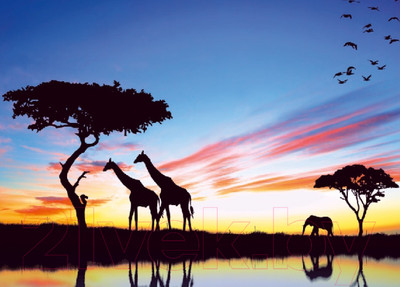 Фотообои листовые Prestige Престиж №60 (272x196)