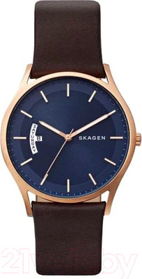 Часы наручные мужские Skagen SKW6395