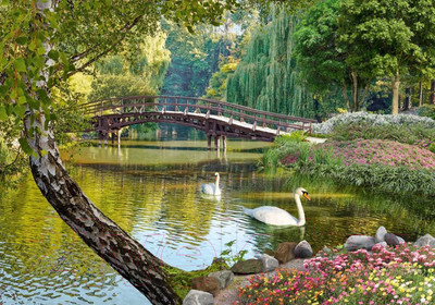 Фотообои листовые Твоя планета Люкс Лесное царство (194x136)