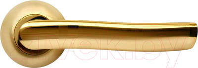 Ручка дверная Rucetti RAP 3 SG/GP