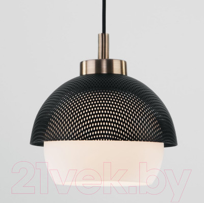 Потолочный светильник Евросвет 50106/1 (античная бронза/черный)