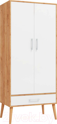 Шкаф ФорестДекоГрупп Сканди / ГН 028-03 (дуб крафт/белый)