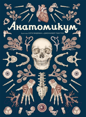 Энциклопедия Махаон Анатомикум (Пакстон Д.)