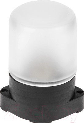 Светильник ЖКХ Юпитер JP1300-09 (черный)