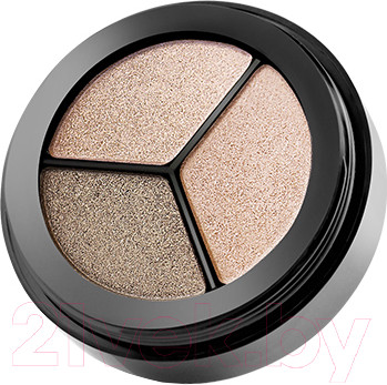 Палетка теней для век Paese Dancing Queen Eye Shadows 802