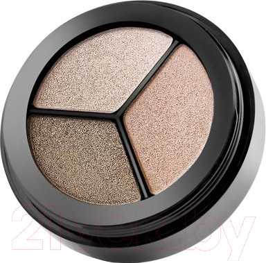 Палетка теней для век Paese Dancing Queen Eye Shadows 805