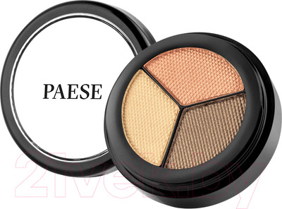 Палетка теней для век Paese Opal Eye Shadows 239