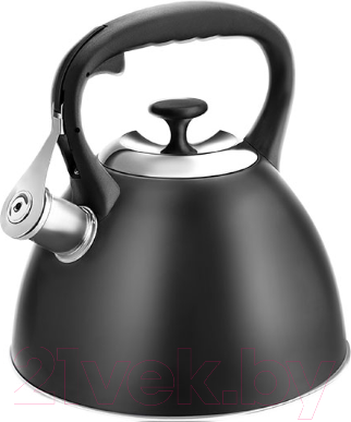 Чайник со свистком Lara LR00-74 (черный матовый)