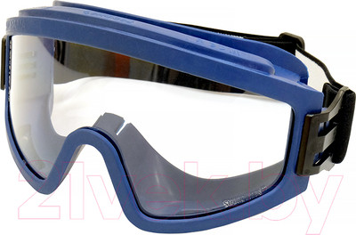 Защитные очки РОСОМЗ ЗНГ1 Panorama PC StrongGlass / 22137