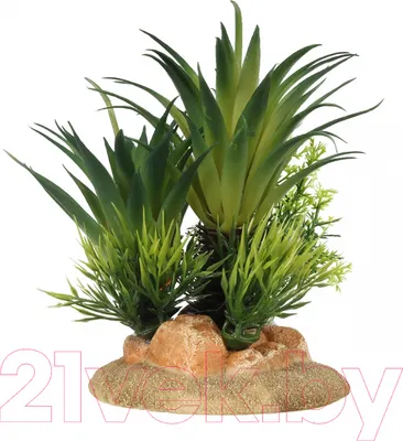 Декорация для аквариума Aqua Della Sago Palm / 234/448823