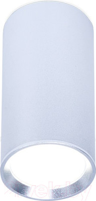 Точечный светильник Ambrella TN219 SL/S