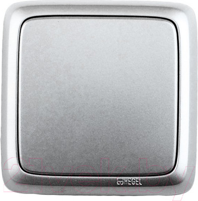 Выключатель Hegel ВА10-113-06 (серебристый)