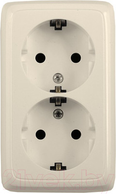 Розетка Hegel РА16-153-01 (слоновая кость)