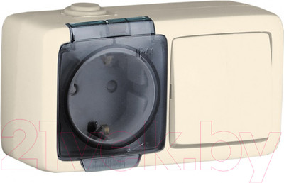 Блок выключатель+розетка Hegel БА16-211-01 (слоновая кость)
