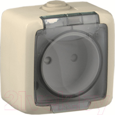 Розетка Hegel Alfa РА16-201-01 (слоновая кость)