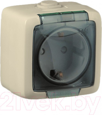 Розетка Hegel Alfa РА16-211-01 (слоновая кость)