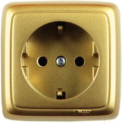 Розетка Hegel РА16-113-07 (золото)