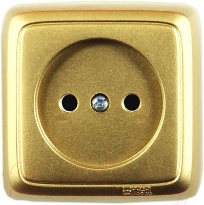 Розетка Hegel РА16-103-07 (золото)