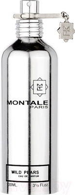 Парфюмерная вода Montale Wild Pears (100мл)