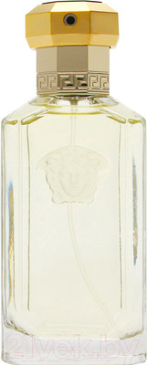 Туалетная вода Versace Dreamer (100мл)