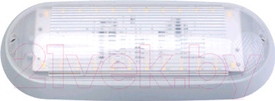 Светильник ЖКХ Bylectrica ДПО01-6-705 УХЛ4