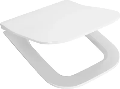 Сиденье для унитаза Santek Лайн 1WH501575