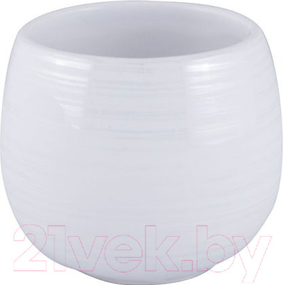 Стакан для зубной щетки и пасты AWD Interior AWD02190992