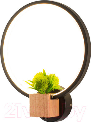 Бра Home Light Астерия C056-1-B (черный)