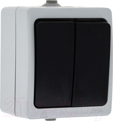 Выключатель КС Дабрабыт ОП 10А IP54 / 74842 (серый)