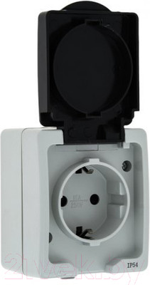 Розетка КС 1 ОП 16А IP54 / 74843 (серый)