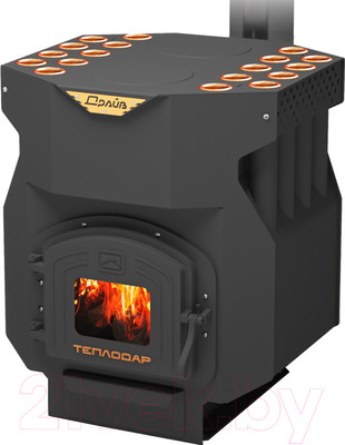Печь отопительно-варочная Теплодар Топ-Драйв 250