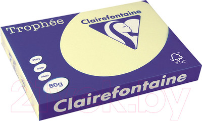 Бумага Trophee A4 80г/м 100л / 4107C (светло-желтый)