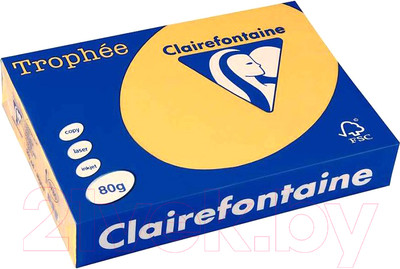 Бумага Trophee A4 80г/м 500л / 1780 (золото)