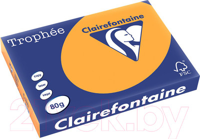 Бумага Trophee A4 80г/м 500л / 1873C (ярко-оранжевый)