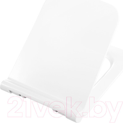 Сиденье для унитаза BelBagno BB2112SC